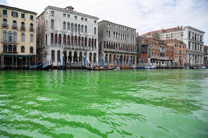 Gondolieri pe apa verde din Venetia, Foto: Cobra Team / BACKGRID / Backgrid UK / Profimedia