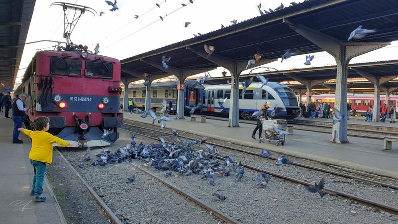 Trenuri, oameni si porumbei, Foto: Vlad Barza / HotNews.ro