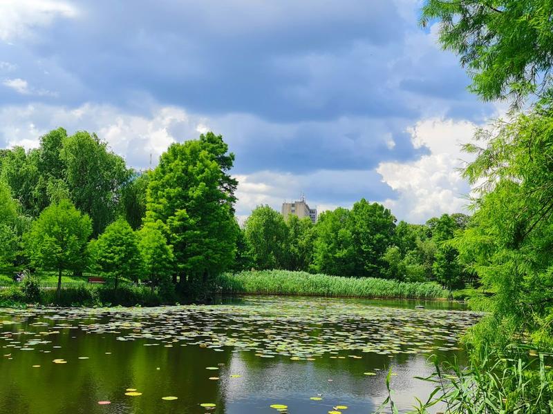 Peisaj de iunie, Foto: Vlad Barza / HotNews.ro