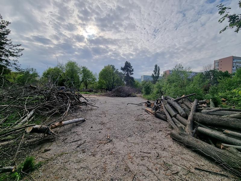 Bucata retrocedata IOR 2, Foto: HotNews/Catiusa Ivanov