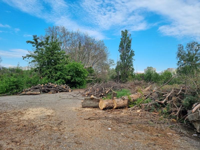 Bucata retrocedata IOR 10, Foto: HotNews/Catiusa Ivanov