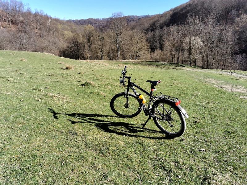 Cu bicicleta prin padure, Foto: Adrian Ilincescu/ HotNews.ro
