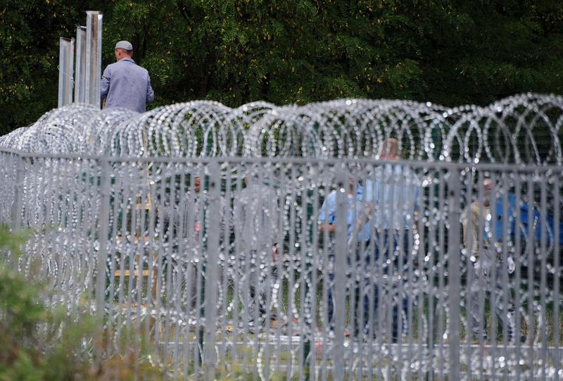 Detinuti din Ungaria lucrand la gardul de sarma de la granita cu Croatia, Foto: Csaba Segesvari / AFP / Profimedia Images