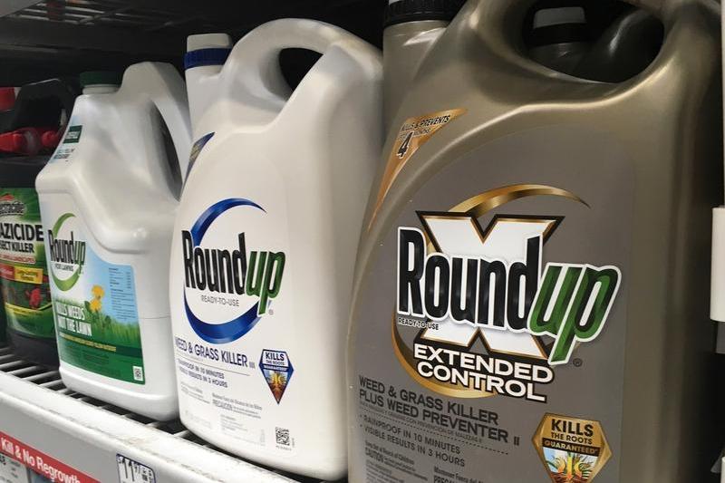 Roundup, pesticid Monsanto, Foto: Haven Daley / AP / Profimedia