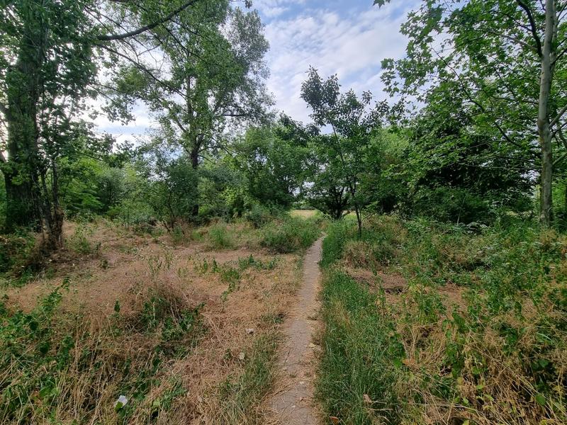 Parcul Plumbuita 7, Foto: HotNews/Catiusa Ivanov