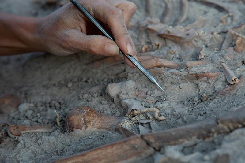 Sit arheologic, Foto: Shutterstock