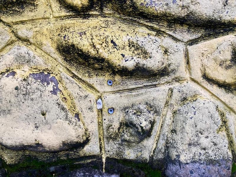 Butoni luminosi, Foto: Directia de Drumuri Craiova