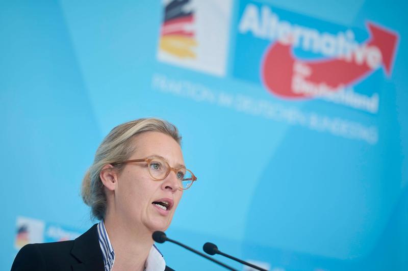 Alice Weidel, unul dintre cei doi presedinti ai AfD, Foto: Christian Spicker / imago stock&people / Profimedia