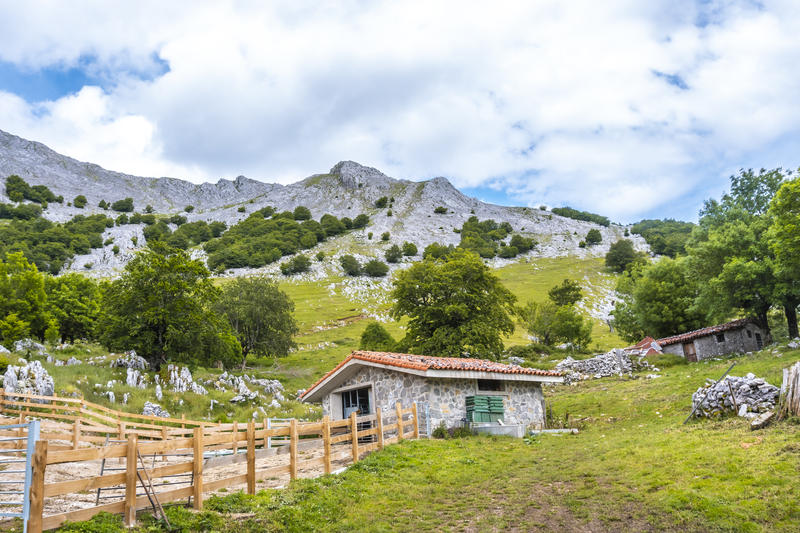 Casă, Foto: freepik.com