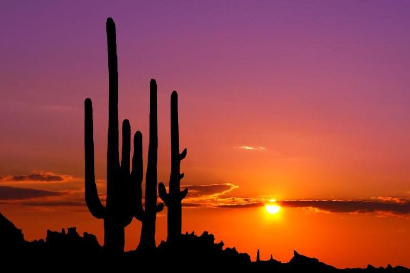 Peisaj mexican, Foto: Shutterstock