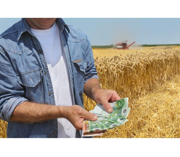 Fermier-euro-bani, Foto: Dreamstime