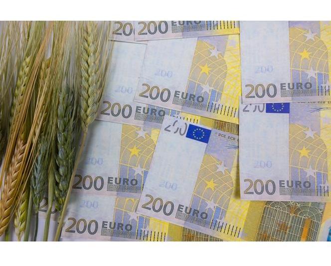 bani-euro-agricultura, Foto: Dreamstime