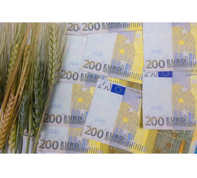 bani-euro-agricultura, Foto: Dreamstime