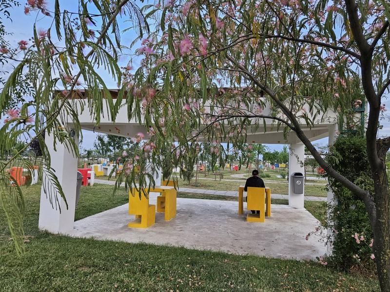 La relaxare in parc, Foto: Vlad Barza / HotNews.ro