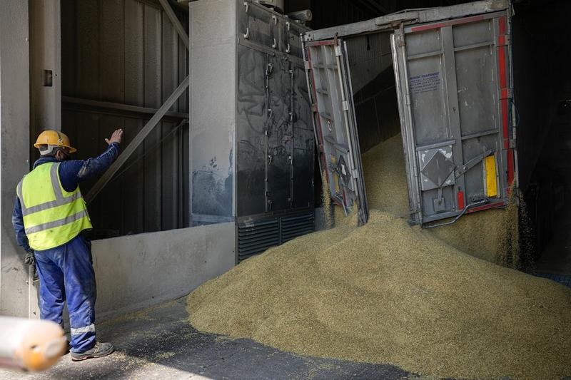 Cereale ucrainene descărcate în portul Constanța, Foto: Vadim Ghirda / AP / Profimedia