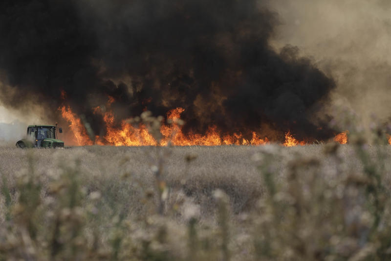 Incendiu vegetație, Foto: Inquam Photos / George Calin