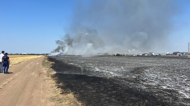 Incendiu la Magurele, Foto: Garda Nationala de Mediu