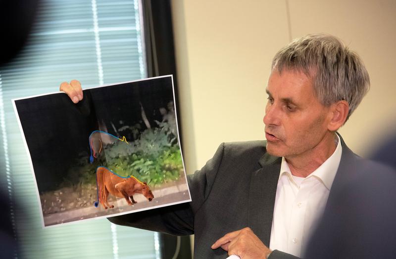 primarul Michael Grubert aratand imagini in care argumenteaza ca animalul liber de pe langa Berlin era mistret si nu leoaica, Foto: Paul Zinken / DPA / Profimedia