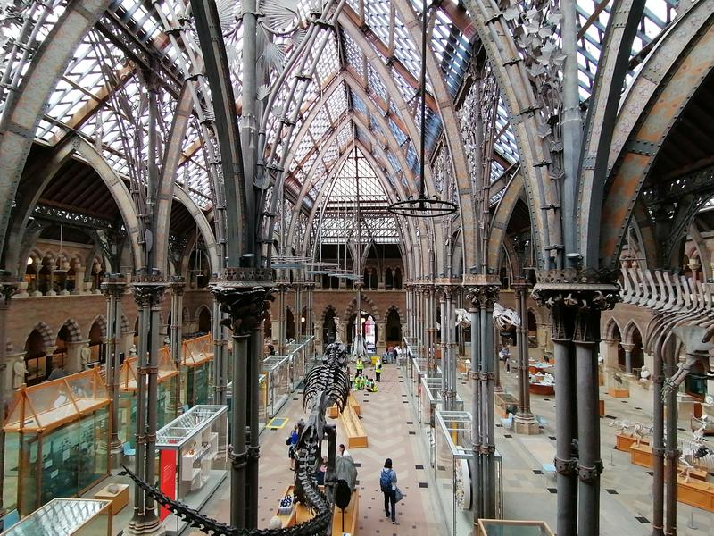 Oxford. Misterul lui Dexter, Foto: arhiva personala