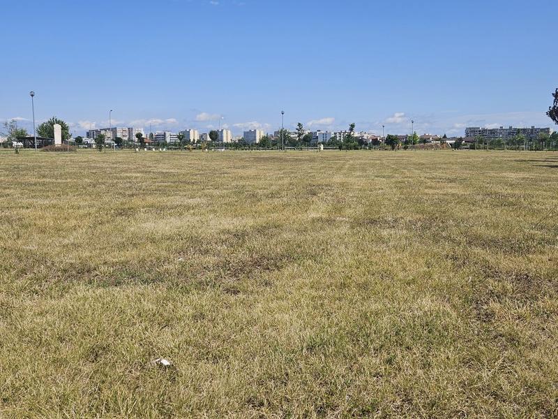 Seceta, Foto: Vlad Barza / HotNews.ro