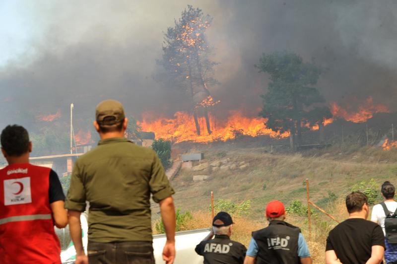 Incendiu de vegetație în Turcia, Foto: AA/ABACA / Abaca Press / Profimedia