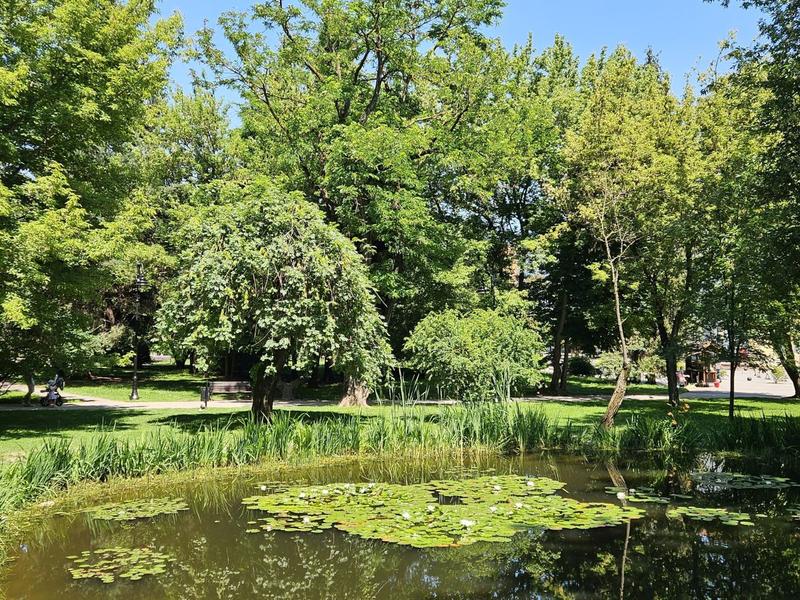 Peisaj de iulie, Foto: Vlad Barza / HotNews.ro