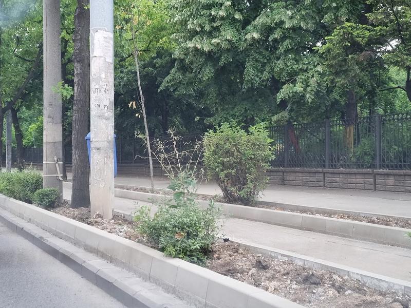 Borduri cu etaj pe Șoseaua Colentina , Foto: Hotnews / Catiușa Ivanov