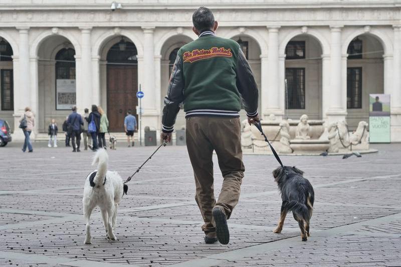 Câini cu stăpân, Foto: Luca Ponti / ipa-agency.net / PA Images / Profimedia