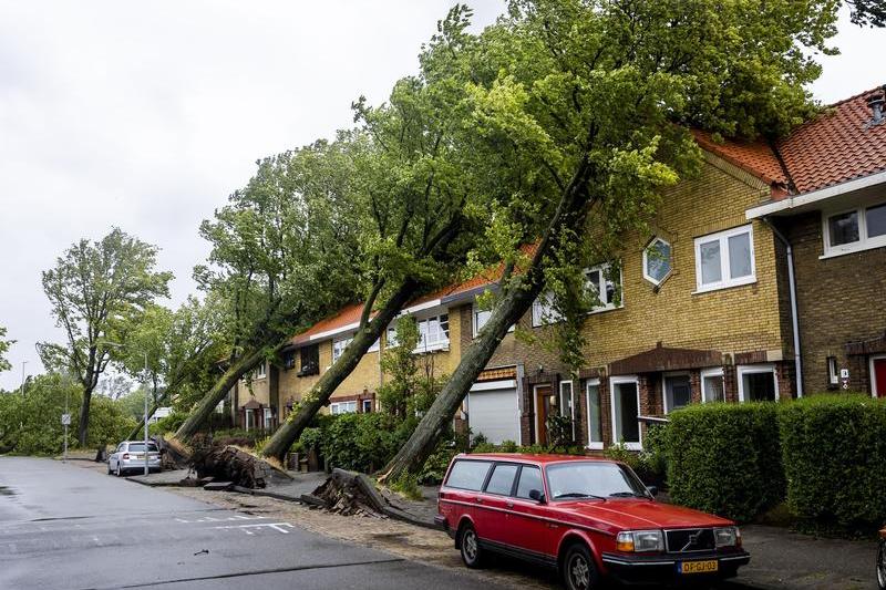 Furtuna Poly a făcut ravagii în Haarlem și în mare parte din Olanda, Foto: Hollandse Hoogte / Shutterstock Editorial / Profimedia