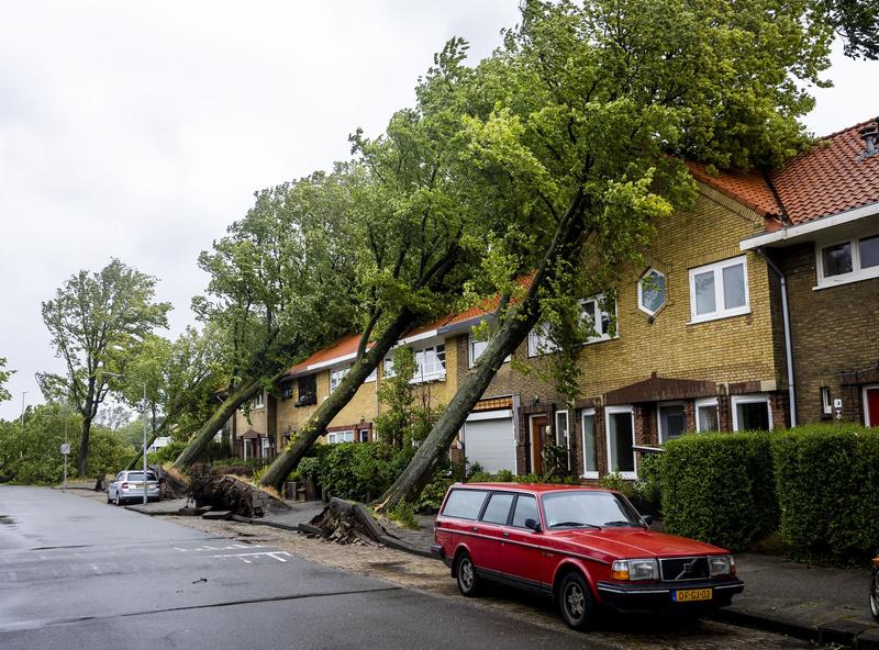 Furtuna Poly a făcut ravagii în Haarlem și în mare parte din Olanda, Foto: Hollandse Hoogte / Shutterstock Editorial / Profimedia