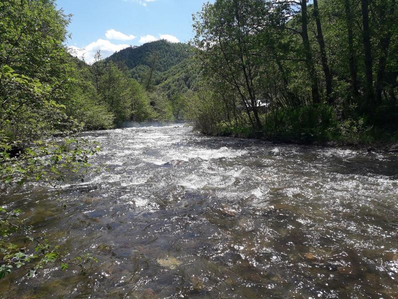Zona raului Taia, Foto: Bankwatch România