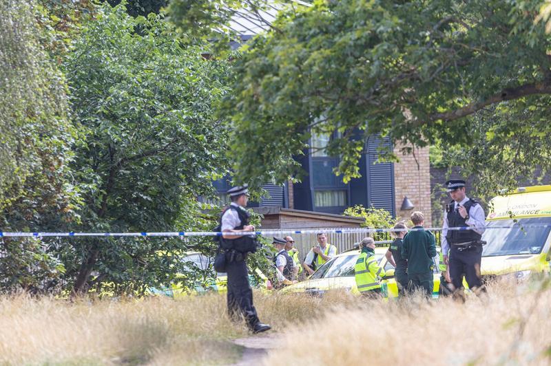 Incident la o școală primară din Wimbledon, Foto: Alex Lentati/LNP / Shutterstock Editorial / Profimedia