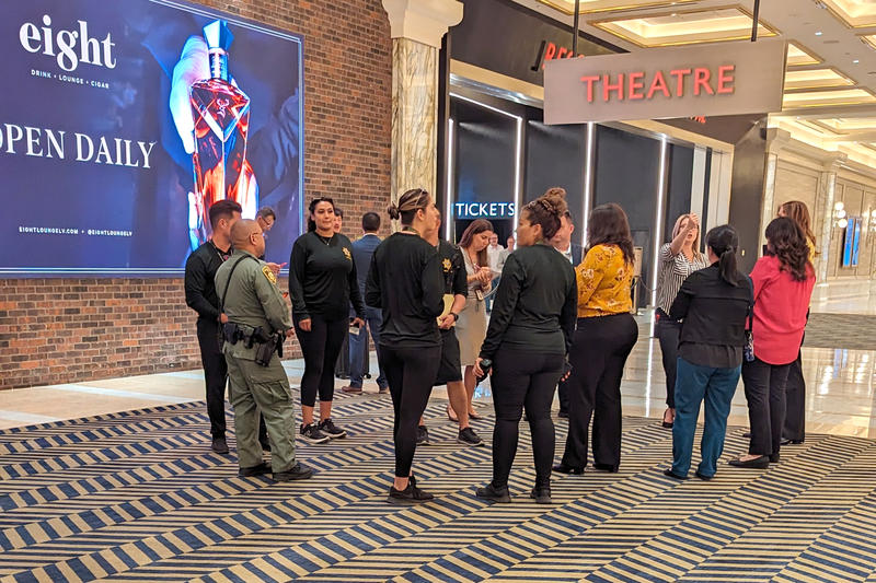 Politia a intervenit dupa ce Britney Spears ar fi fost palmuita de paza lui Victor Wembanyama , Foto: SplashNews.com / Splash / Profimedia