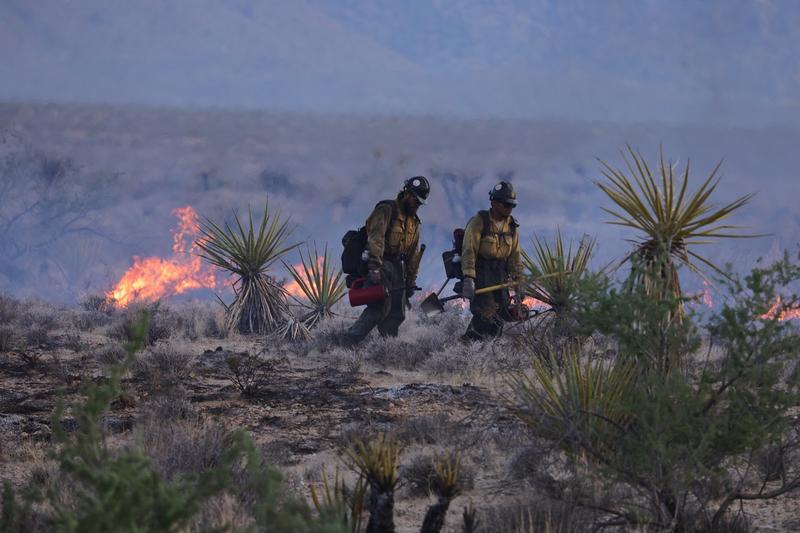 Incendii in California si Nevada, Foto: DAVID SWANSON / AFP / Profimedia
