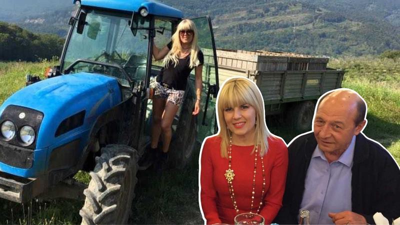 Ce se întâmplă cu firma Elenei Udrea, Foto: Colaj fanatik.ro