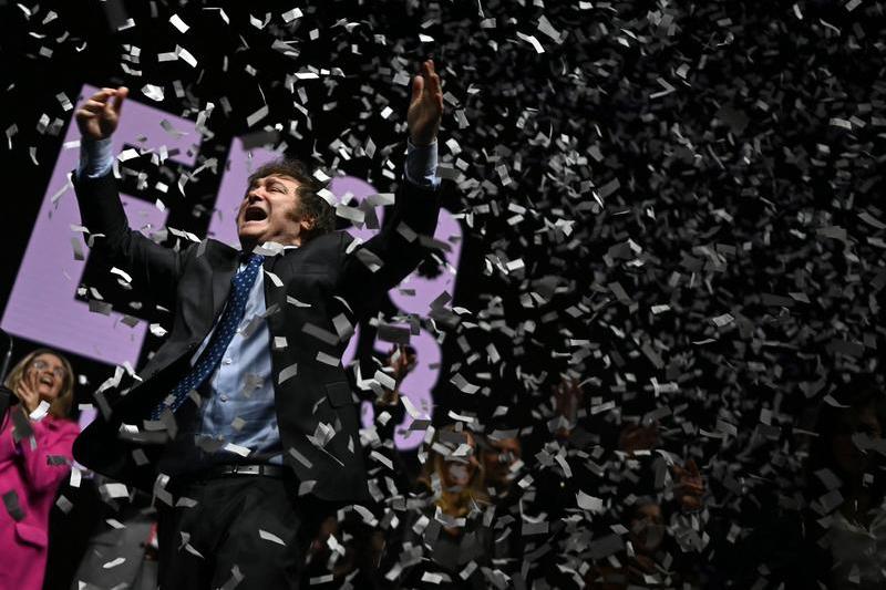 Javier Milei, Foto: Luis ROBAYO / AFP / Profimedia