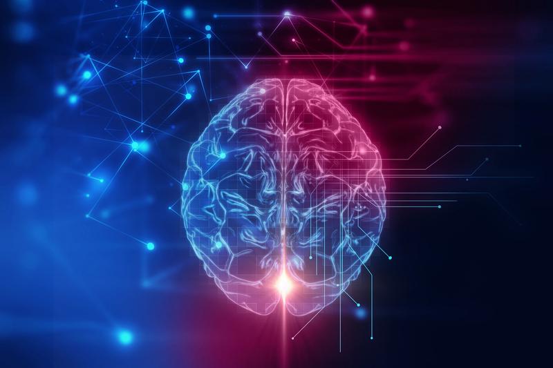 Cum funcționează creierul uman?, Foto: Shutterstock
