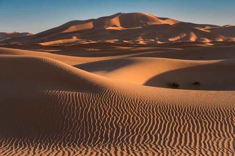 Dune de nisip în Maroc, Foto: Alan Novelli / Alamy / Alamy / Profimedia