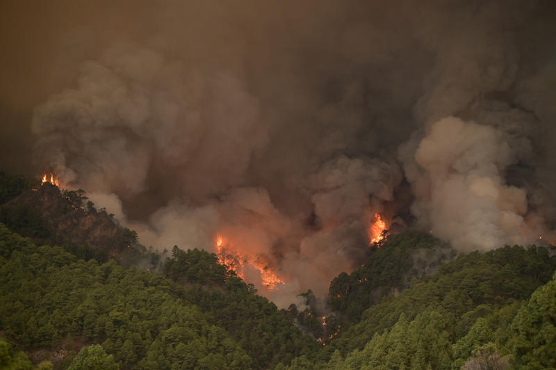 Incendii în Tenerife, Foto: Acfipress / Zuma Press / Profimedia