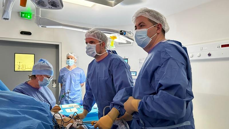 Dr. Costel Rad și Dr. Dumitru Pocreata de la Spitalul MedLife Brașov, schimb de experiență cu medicii din Franța, Foto: MedLife