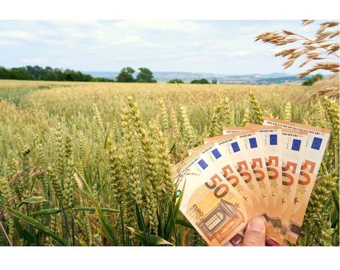 bani-euro-agricultura, Foto: Dreamstime