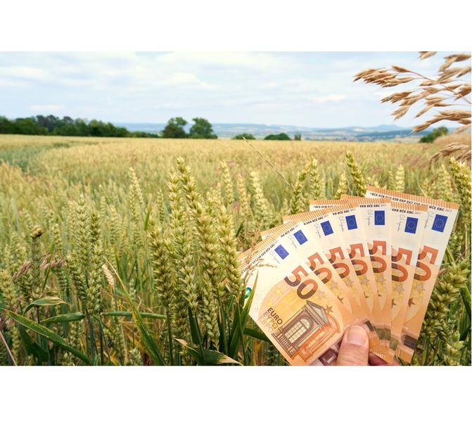 bani-euro-agricultura, Foto: Dreamstime