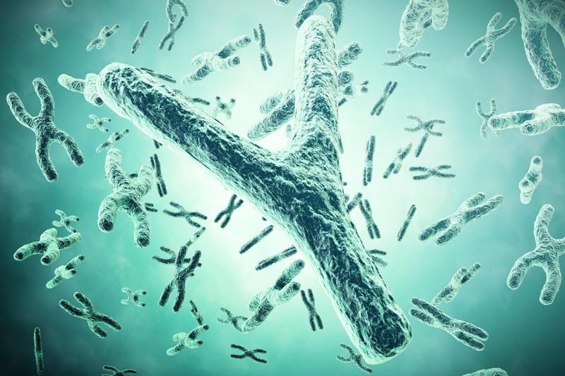 Cromozomul Y, Foto: Rostislav Zatonskiy / Alamy / Alamy / Profimedia