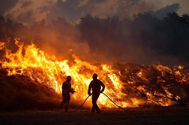 Incendiu de padure, Foto: Alvaro Barrientos / AP / Profimedia