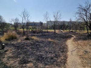 Incendiu pe bucata retrocedată în IOR, Foto: HotNews/Catiusa Ivanov