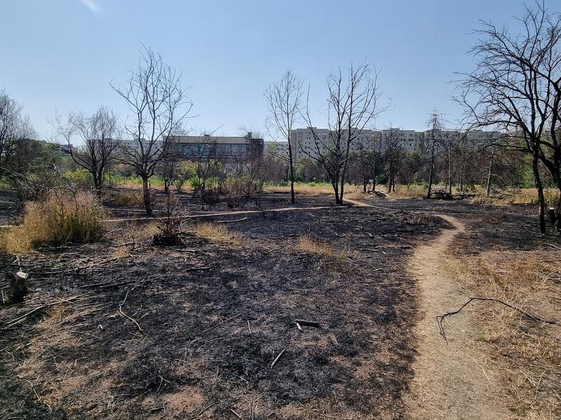 Incendiu pe bucata retrocedată în IOR, Foto: HotNews/Catiusa Ivanov