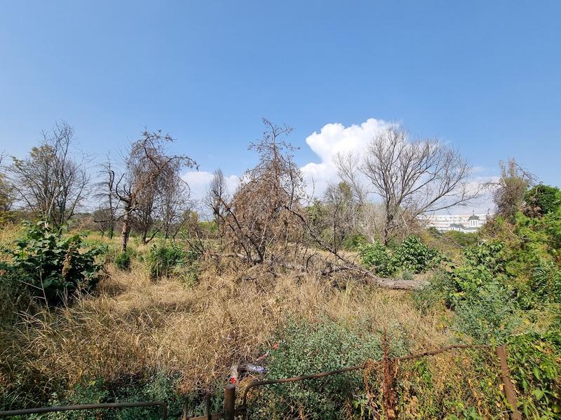 Bucata retrocedată în IOR după incendiul din august 2023, Foto: HotNews/Catiusa Ivanov