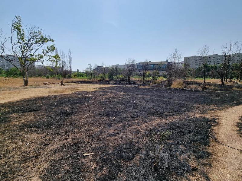 Bucata retrocedată în IOR după incendiul din august 2023, Foto: HotNews/Catiusa Ivanov