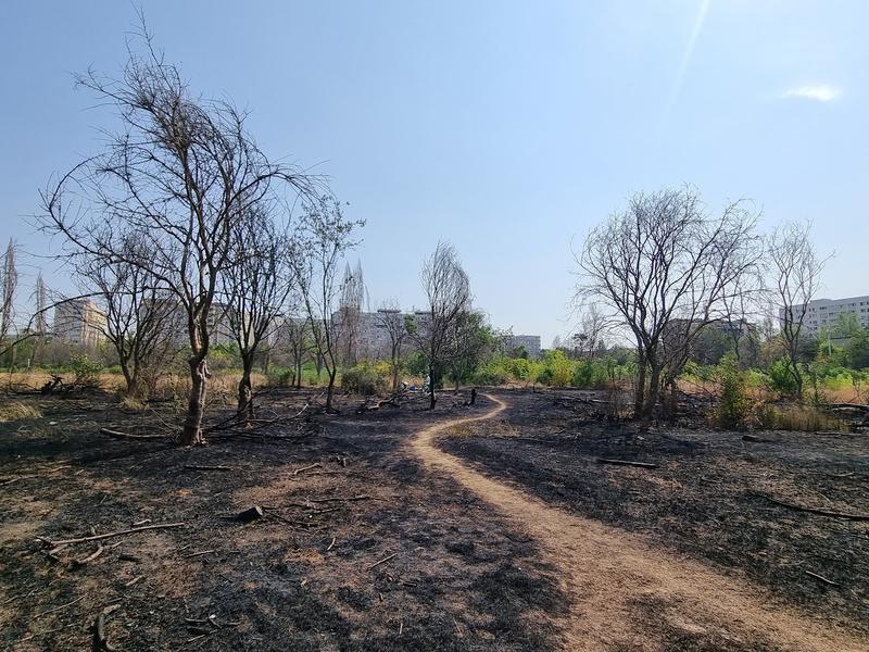 Bucata retrocedată în IOR după incendiul din august 2023, Foto: HotNews/Catiusa Ivanov