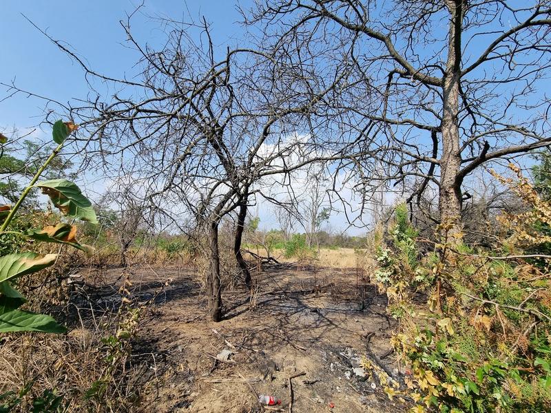 Bucata retrocedată în IOR după incendiul din august 2023, Foto: HotNews/Catiusa Ivanov